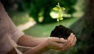 Die Natur zu erhalten ist wesentlicher Bestandteil der Nachhaltigkeits-Philosophie